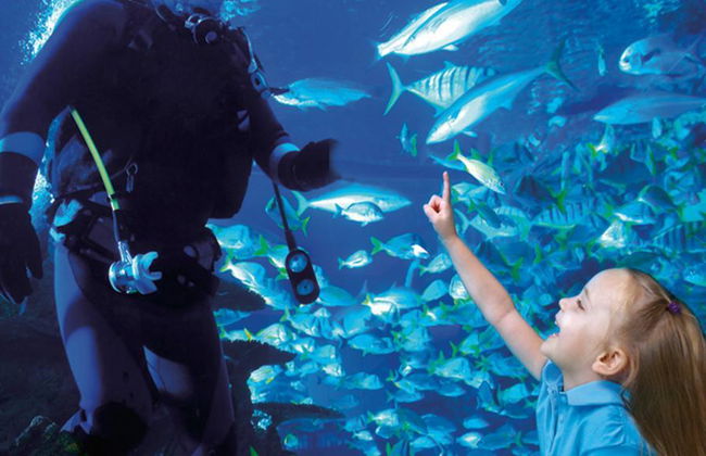 Houston CityPASS® - Acceso a 5 atracciones - Foto 8